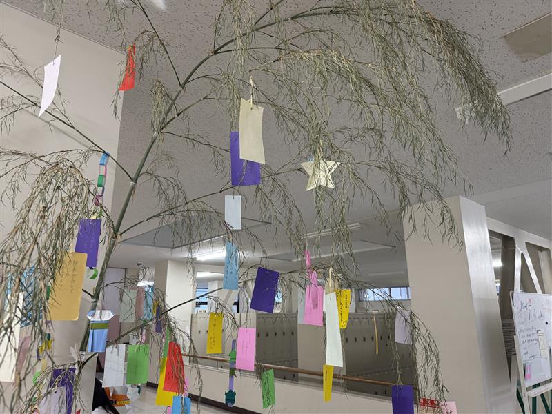 Image (6)